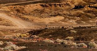 什么是“止损的尊严”？（如何理解“止损的尊严”？）