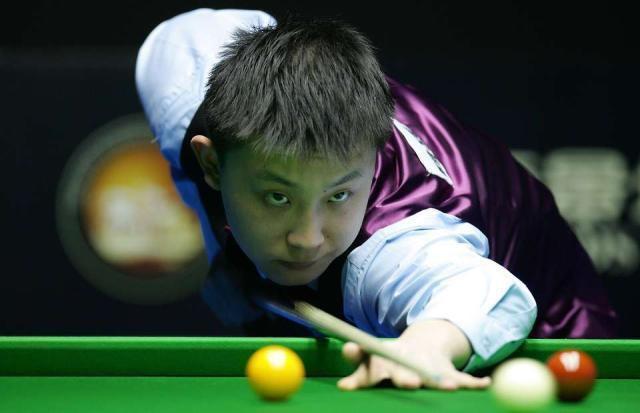 引发双标质 引发双标质