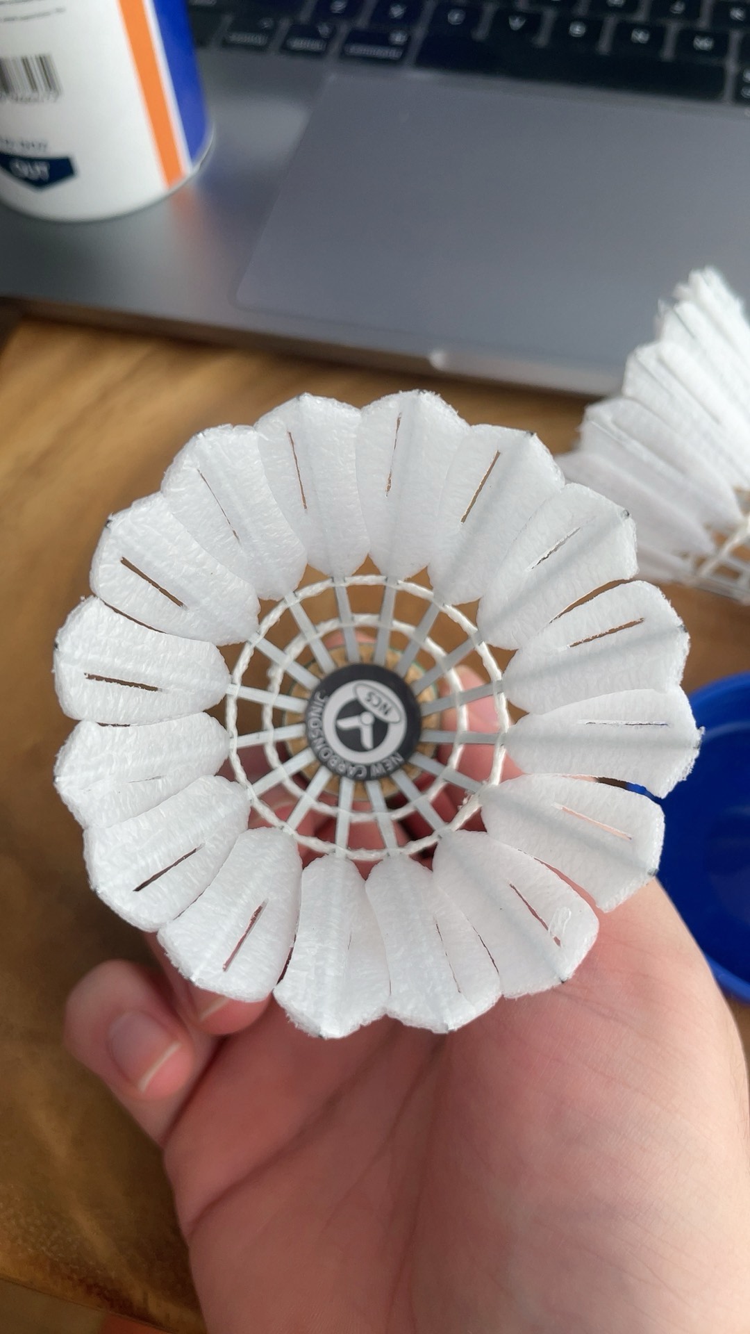 仅拥有得天 仅拥有得天